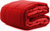 Trapunta-Invernale-Double-Face-Varie-Misure-Gabel-Chromo-in-Cotone