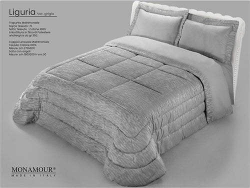 Trapunta matrimoniale invernale Mon Amour art. Liguria Sopra tessuto: PL Sotto tessuto: cotone 100% imbottitura in fibra di poliestere anallergica da gr.350 Casa e cucina/Tessili per la casa/Biancheria da letto/Coperte e trapunte/Trapunte Biancheria Arredo Home - Nola, Commerciovirtuoso.it