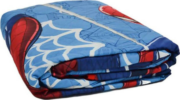 Trapuntino Copriletto Singolo Personaggi Dei Cartoni Trapuntino Per Bambini 170x250 Diverse Fantasie Casa e cucina/Tessili per la casa/Biancheria per la cameretta/Trapunte e copriletti Puleo Casa - Palermo, Commerciovirtuoso.it