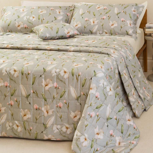 Battaglia Trapuntino SIVIGLIA