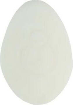 Trattamento-viso-Foamie-Solid-Day-Cream-Hydro-Intense-Moisture-Nutrien