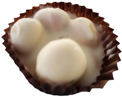 Tre Nocciole Pralina Artigianale Con Nocciole Tostate Intere Cioccolatini fatti a mano con Nocciola Siciliana Intera 300gr Laboratorio Cafè Plaza