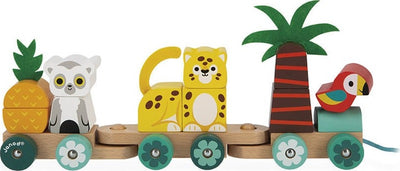 Treno-Tropicale-Da-Trainare-Janod-Tropik