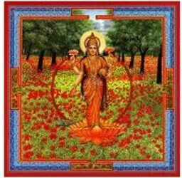 TRIPHAURUM-GOCCE-30-ML