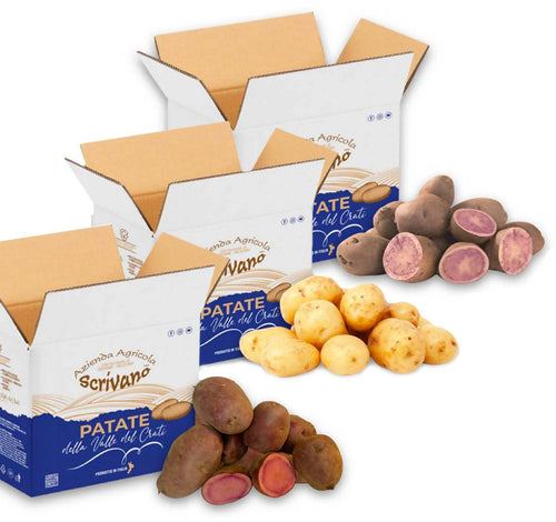 Tris Di Patate Gialle Rosse Viola 27kg Di Calabria [3 Box Multipack] Patate 100% Calabresi Made In Italy Azienda Agricola Scrivano