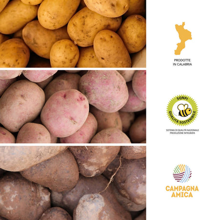 Tris Di Patate Gialle Rosse Viola 27kg Di Calabria [3 Box Multipack] Patate 100% Calabresi Made In Italy Azienda Agricola Scrivano