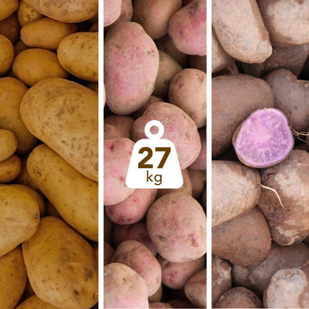 Tris Di Patate Gialle Rosse Viola 27kg Di Calabria [3 Box Multipack] Patate 100% Calabresi Made In Italy Azienda Agricola Scrivano