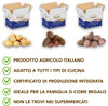 Tris Di Patate Gialle Rosse Viola 27kg Di Calabria [3 Box Multipack] Patate 100% Calabresi Made In Italy Azienda Agricola Scrivano