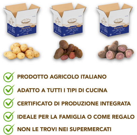 Tris Di Patate Gialle Rosse Viola 27kg Di Calabria [3 Box Multipack] Patate 100% Calabresi Made In Italy Azienda Agricola Scrivano