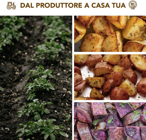 Tris Di Patate Gialle Rosse Viola 27kg Di Calabria [3 Box Multipack] Patate 100% Calabresi Made In Italy Azienda Agricola Scrivano