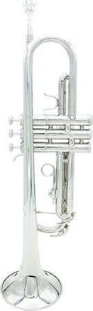 Tromba Sib B Flat In Ottone Exquisite Con Bocchino Guanti Strumento Musicale Strumenti Musicali/Strumenti a fiato/Ottoni/Trombe Trade Shop italia - Napoli, Commerciovirtuoso.it