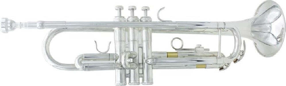 Tromba Sib B Flat In Ottone Exquisite Con Bocchino Guanti Strumento Musicale Strumenti Musicali/Strumenti a fiato/Ottoni/Trombe Trade Shop italia - Napoli, Commerciovirtuoso.it