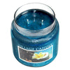 Candele profumate Village Candle profumatore per ambienti, Giara in vetro 730 gr, 26 once