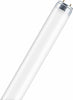Tubo-neon-Osram-T8-L36827-36-W-Bianco-caldo
