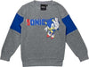 Tuta-Sonic-Bambino-Da-3-A-7-Anni-Interno-Leggero-Felpato-Completo-Felpa-E-Pantalone