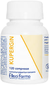 KuperginPrincipale (1)