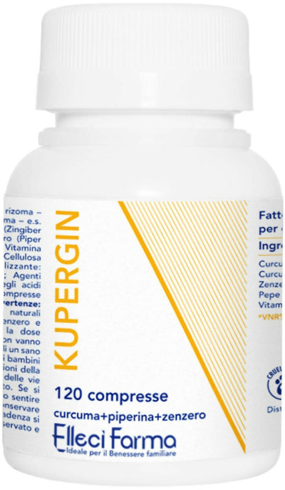 KuperginPrincipale (1)