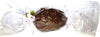 Uovo di Pasqua Artigianale cioccolato e nocciole intere 300gr finissimo cioccolato NERI PIACERI 300gr artigianale idea regalo Uova di cioccolata pasquale Alimentari e cura della casa/Snack dolci e salati/Cioccolata/Uova di cioccolato Neri Piaceri - Cavezzo, Commerciovirtuoso.it