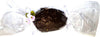 Uovo di Pasqua Artigianale cioccolato e nocciole intere 300gr finissimo cioccolato NERI PIACERI 300gr artigianale idea regalo Uova di cioccolata pasquale Alimentari e cura della casa/Snack dolci e salati/Cioccolata/Uova di cioccolato Neri Piaceri - Cavezzo, Commerciovirtuoso.it