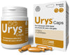 Product Image-0