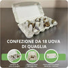 50x Confezioni da 18 Uova di Quaglia In Cartone Con Coperchio Portauova da Materiale Riciclato