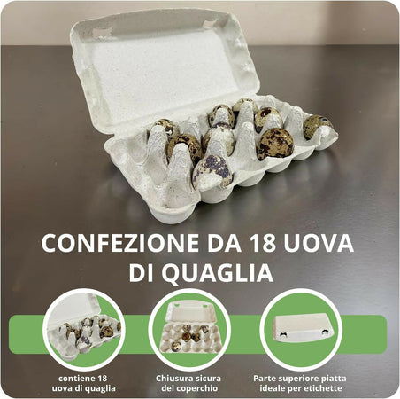 50x Confezioni da 18 Uova di Quaglia In Cartone Con Coperchio Portauova da Materiale Riciclato