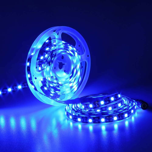 BOBINA LED BLU 5050