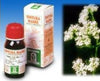 VALERIANA-Soluzione-Idroalcolica-36-50-ml-Specchiasol