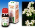 VALERIANA-Soluzione-Idroalcolica-36-50-ml-Specchiasol