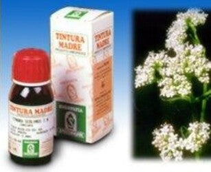 VALERIANA-Soluzione-Idroalcolica-36-50-ml-Specchiasol
