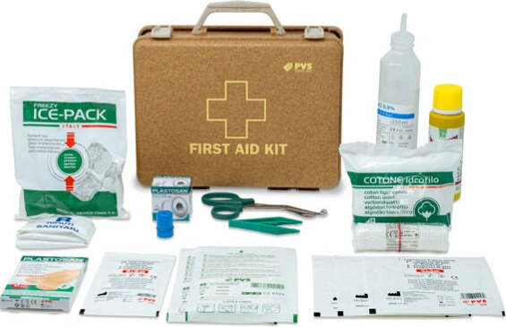 Valigetta di Pronto Soccorso Futura - 250 x 190 x 90 mm - PVS Salute e cura della persona/Prodotti per la medicazione/Pronto soccorso/Kit di pronto soccorso/Casa e lavoro Eurocartuccia - Pavullo, Commerciovirtuoso.it