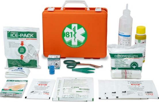 Valigetta di pronto soccorso Medic 1 - 25x19x9 cm - fino a 2 persone - arancio - PVS Salute e cura della persona/Prodotti per la medicazione/Pronto soccorso/Kit di pronto soccorso/Casa e lavoro Eurocartuccia - Pavullo, Commerciovirtuoso.it