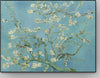 Van Gogh Rami di mandorlo in fiore Pannello Fotografico 66x50 cm Casa e cucina/Decorazioni per interni/Arte/Poster e stampe Scontolo.net - Potenza, Commerciovirtuoso.it