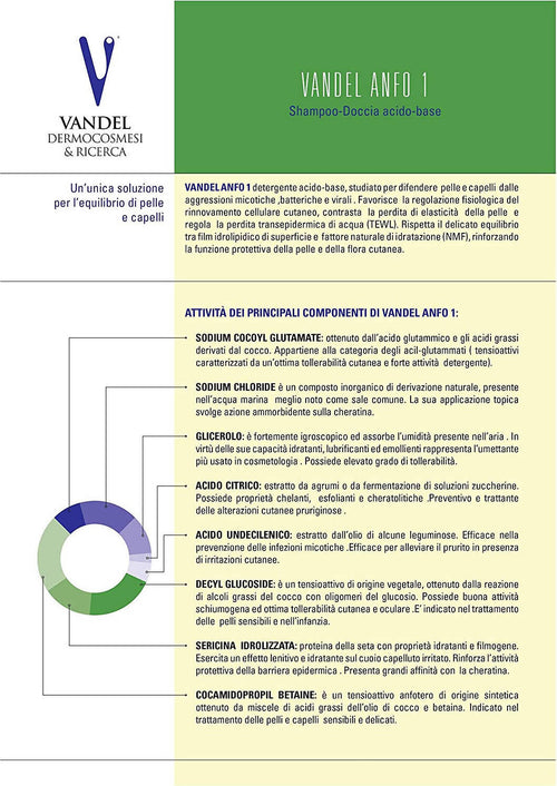Vandel Anfo Detergente antibatterico/ micotico 250ml Bellezza/Bagno e corpo/Detergenti per il corpo/Bagnoschiuma docciaschiuma e gel doccia Vandel Dermocosmesi e Ricerca - Bologna, Commerciovirtuoso.it