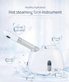 Vaporizzatore Facciale Portatile Puliza Viso Estetica Con Idrocontenitore 400 W Bellezza/Cura della pelle/Viso/Idratanti/Spray e nebulizzatori Trade Shop italia - Napoli, Commerciovirtuoso.it