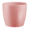Vaso tondo Madeira Luxy Colour in plastica colorati da esterno e giardino fiori piante