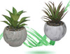 Vaso Ceramica Con Piantina Artificiale Pianta Idea Regalo Bomboniera Eff. Marmo Giardino e giardinaggio/Attrezzi da giardino e attrezzature per l'irrigazione/Vasi e accessori per piante/Vasi tradizionali Trade Shop italia - Napoli, Commerciovirtuoso.it