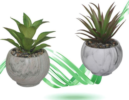 Vaso Ceramica Con Piantina Artificiale Pianta Idea Regalo Bomboniera Eff. Marmo Giardino e giardinaggio/Attrezzi da giardino e attrezzature per l'irrigazione/Vasi e accessori per piante/Vasi tradizionali Trade Shop italia - Napoli, Commerciovirtuoso.it
