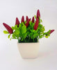 Vaso Ceramica Quadrato Peperoncini Artificiali 16cm Pianta Decorazione Casa Giardino Vasi Fiori Trade Shop italia - Napoli, Commerciovirtuoso.it