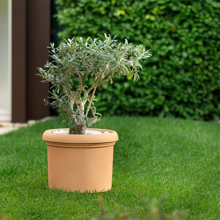 Vaso tondo "Classic Vicenza" per fiori e piante da giardino