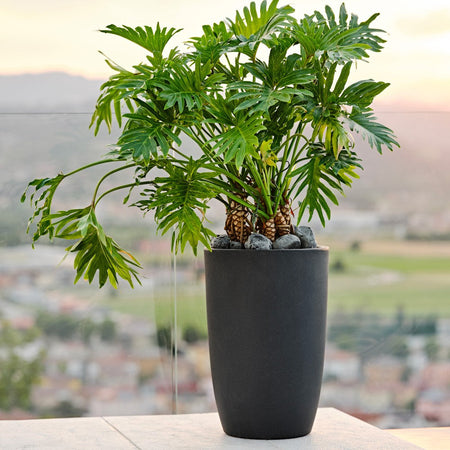Vaso tondo "Meti" in plastica da esterno per piante e fiori