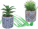 Vaso In Ceramica Con Piantina Artificiale 15cm Pianta Idea Regalo Bomboniera Blu Giardino e giardinaggio/Attrezzi da giardino e attrezzature per l'irrigazione/Vasi e accessori per piante/Vasi tradizionali Trade Shop italia - Napoli, Commerciovirtuoso.it