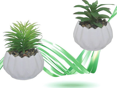 Vaso In Ceramica Con Piantina Artificiale Pianta Idea Regalo Bomboniera 14x19 Cm Giardino e giardinaggio/Attrezzi da giardino e attrezzature per l'irrigazione/Vasi e accessori per piante/Vasi tradizionali Trade Shop italia - Napoli, Commerciovirtuoso.it