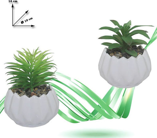 Vaso In Ceramica Con Piantina Artificiale Pianta Idea Regalo Bomboniera 14x19 Cm Giardino e giardinaggio/Attrezzi da giardino e attrezzature per l'irrigazione/Vasi e accessori per piante/Vasi tradizionali Trade Shop italia - Napoli, Commerciovirtuoso.it