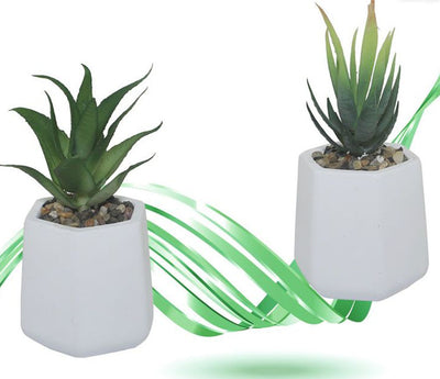 Vaso In Ceramica Con Piantina Artificiale Pianta Idea Regalo Bomboniera 15x8 Cm Giardino e giardinaggio/Attrezzi da giardino e attrezzature per l'irrigazione/Vasi e accessori per piante/Vasi tradizionali Trade Shop italia - Napoli, Commerciovirtuoso.it