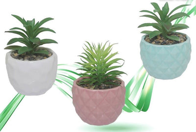Vaso In Ceramiche Per Piantine Casa Giardino Decorazione Interno Casa 15x9 Cm Giardino e giardinaggio/Attrezzi da giardino e attrezzature per l'irrigazione/Vasi e accessori per piante/Vasi tradizionali Trade Shop italia - Napoli, Commerciovirtuoso.it