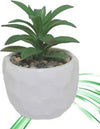 Vaso In Ceramiche Per Piantine Casa Giardino Decorazione Interno Casa 15x9 Cm Giardino e giardinaggio/Attrezzi da giardino e attrezzature per l'irrigazione/Vasi e accessori per piante/Vasi tradizionali Trade Shop italia - Napoli, Commerciovirtuoso.it