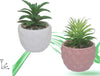 Vaso In Ceramiche Per Piantine Casa Giardino Decorazione Interno Casa 15x9 Cm Giardino e giardinaggio/Attrezzi da giardino e attrezzature per l'irrigazione/Vasi e accessori per piante/Vasi tradizionali Trade Shop italia - Napoli, Commerciovirtuoso.it