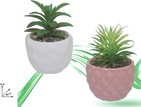 Vaso In Ceramiche Per Piantine Casa Giardino Decorazione Interno Casa 15x9 Cm Giardino e giardinaggio/Attrezzi da giardino e attrezzature per l'irrigazione/Vasi e accessori per piante/Vasi tradizionali Trade Shop italia - Napoli, Commerciovirtuoso.it