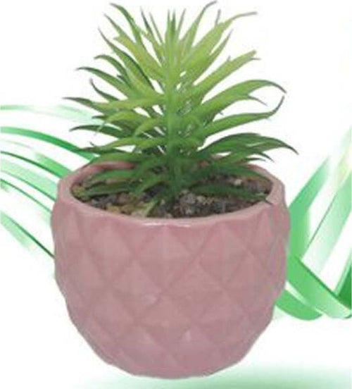 Vaso-In-Ceramiche-Per-Piantine-Casa-Giardino-Decorazione-Interno-Casa-15x9-Cm